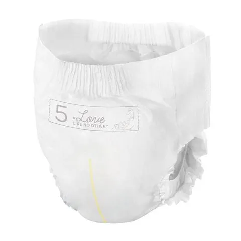 DREAM Eco-Friendly Disposable Training Pants - Size 6 - 40 lbs & up (19ct)