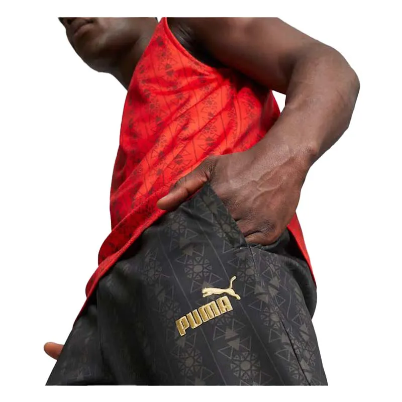 EFA FtblCulture Pants PUMA Black