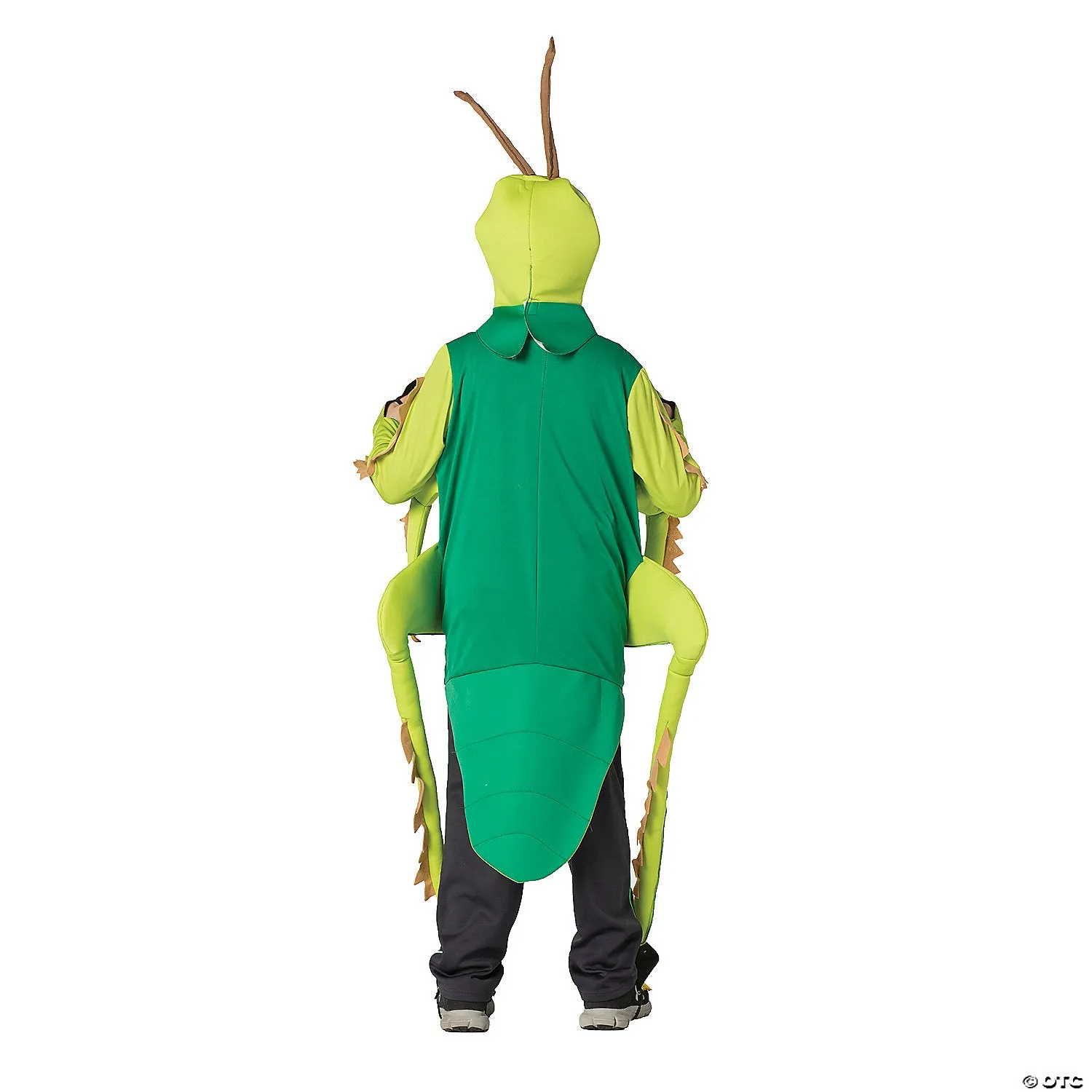 Grasshopper