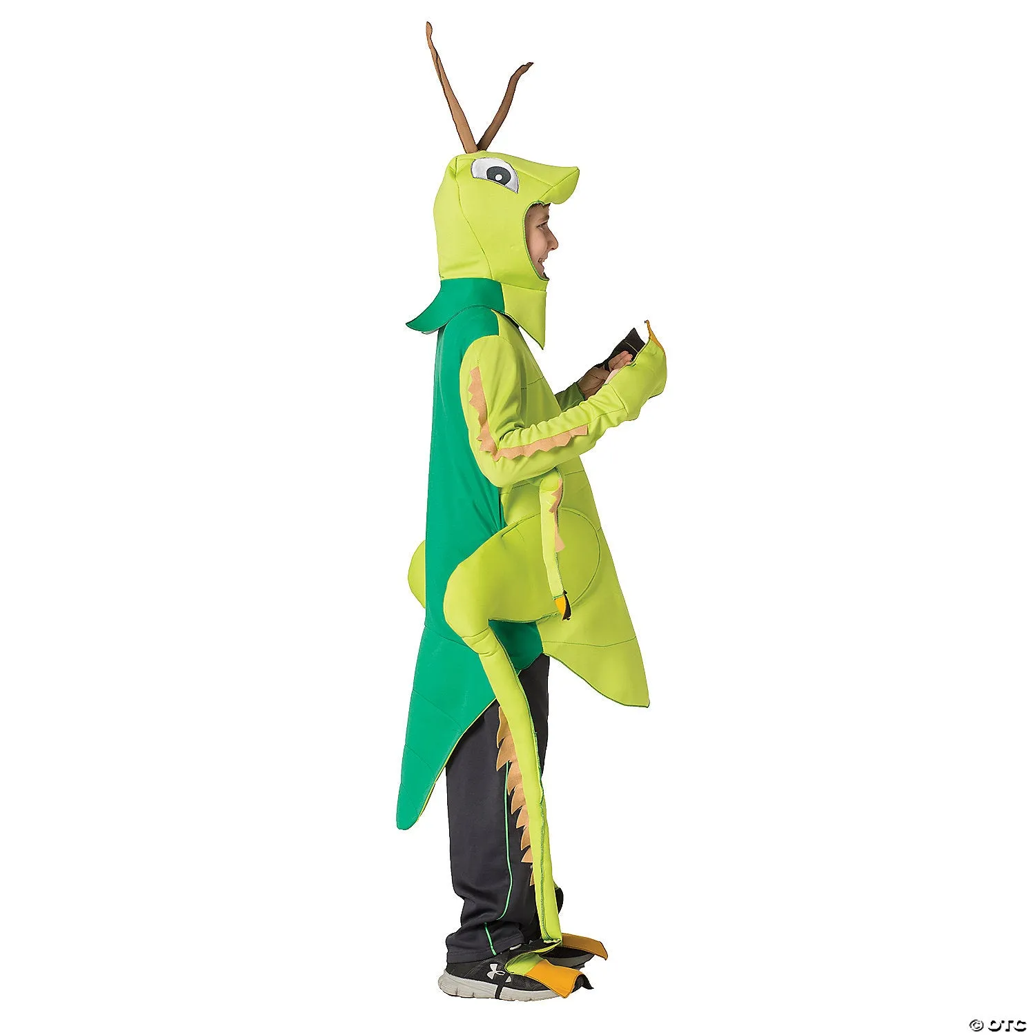 Grasshopper