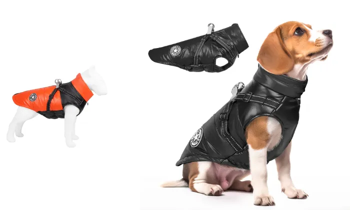 Waterproof Winder Dog Jacket