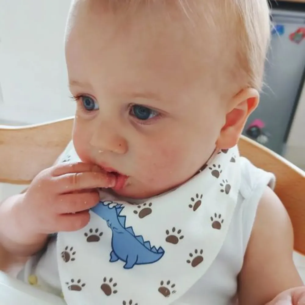 Ziggle Baby Dino and Stars print 4 Pack Bandana Bib Set
